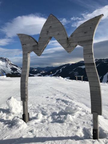 Tauernlodge Sonnblick Top 3 Mühlbach am Hochkönig Zewnętrze zdjęcie